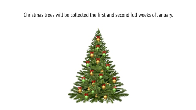 Thumbnail of video Christmas Tree Collection Information PSA
