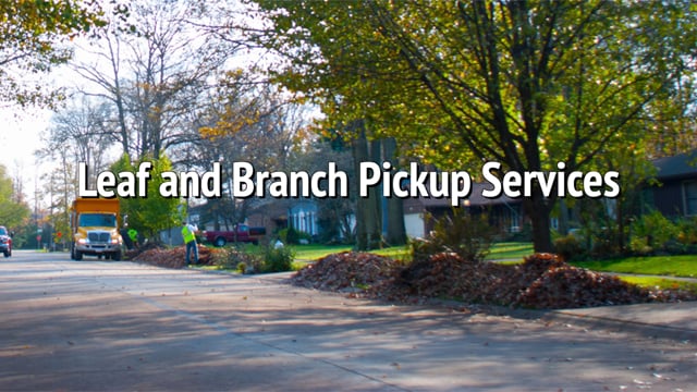 Thumbnail of video Leaf and Branch Pickup Services PSA