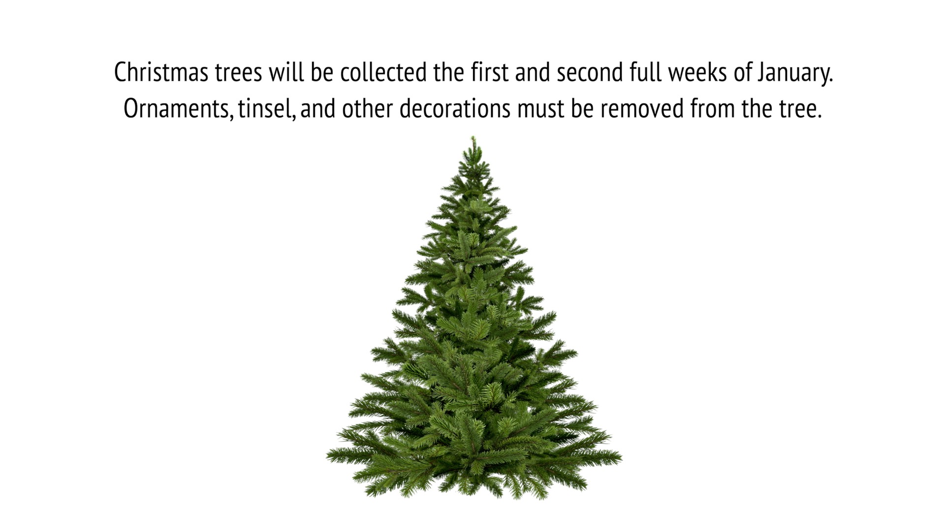 Thumbnail of video Christmas Tree Collection Service PSA